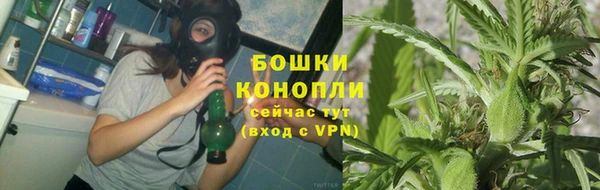 прущие грибы Касимов