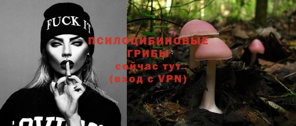 ГАЛЛЮЦИНОГЕННЫЕ ГРИБЫ Яровое
