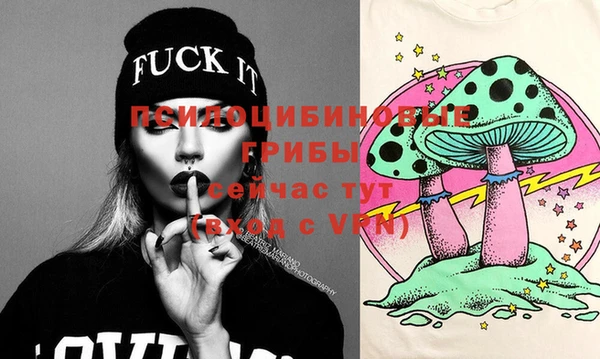 прущие грибы Касимов
