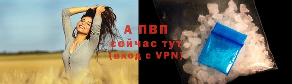 СК Нягань