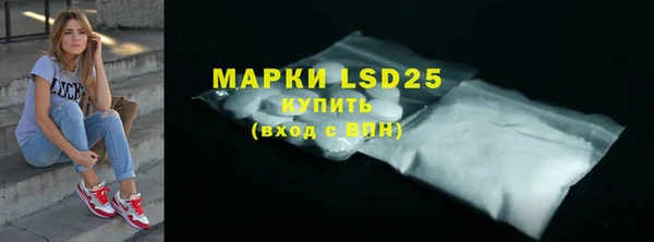 прущие грибы Касимов