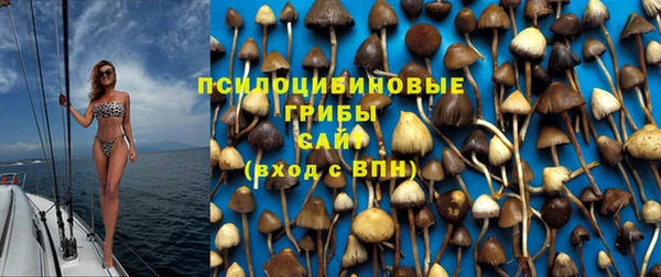 дмт Няндома