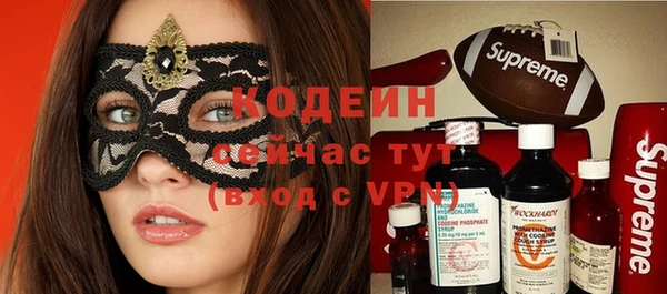 прущие грибы Касимов
