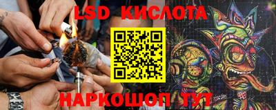 гидра Бийск