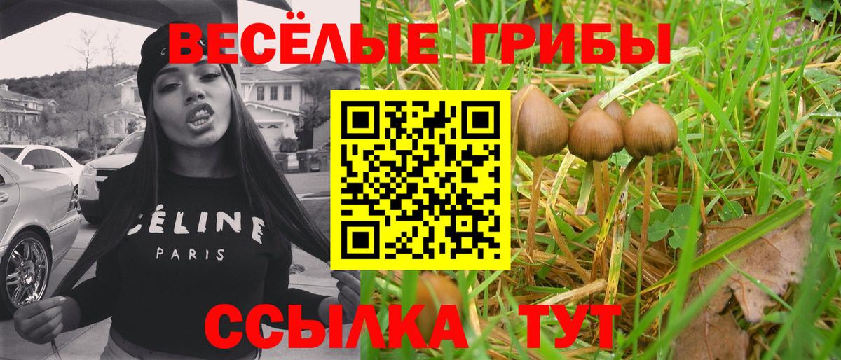 Галлюциногенные грибы ЛСД  Галлюциногенные грибы мухоморы  Вход с VPN  Димитровград 