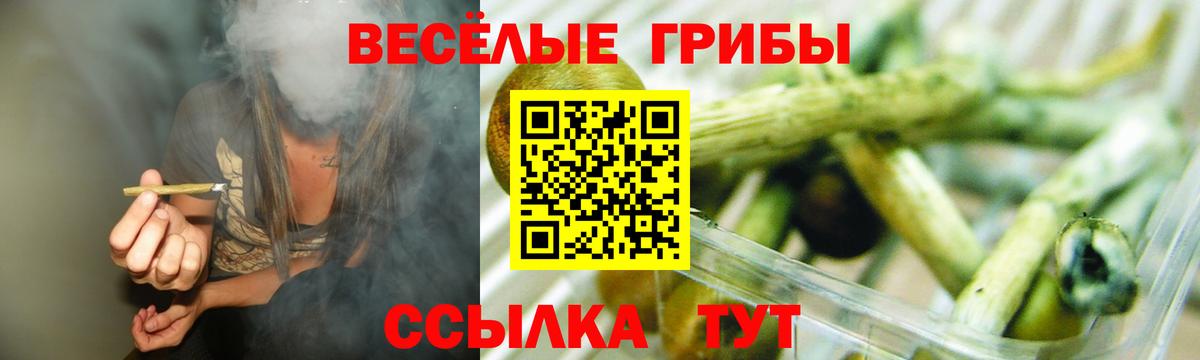 Галлюциногенные грибы мухоморы Димитровград