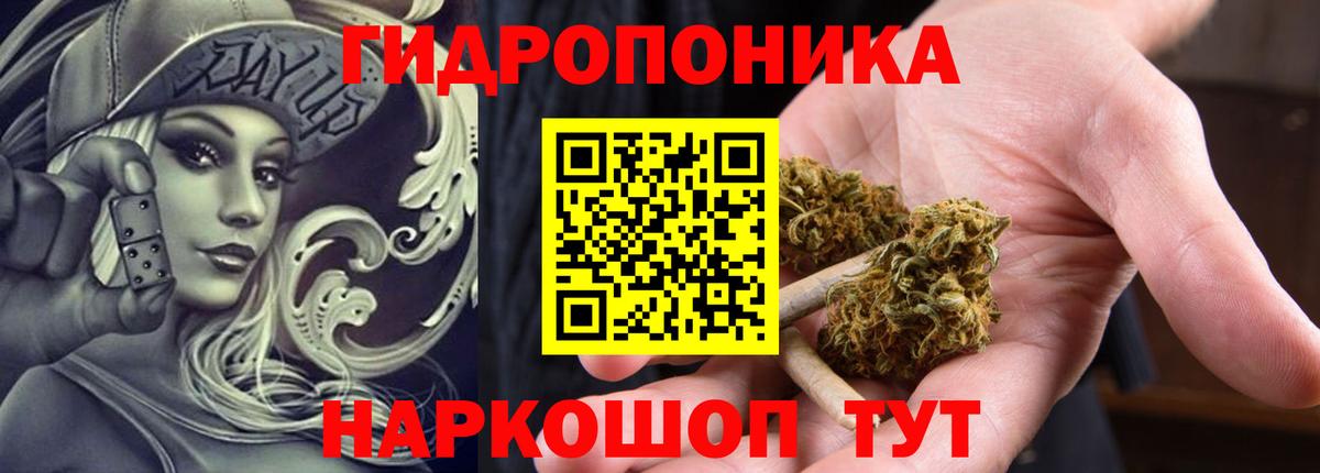 Бошки марихуана гибрид  Вход с VPN  Шишки марихуана SATIVA & INDICA  Димитровград 